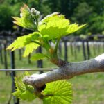 Neue Öffnungszeiten