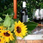 Die neue Selection Widnau 2024 ist da (auch als Magnum erhältlich)!